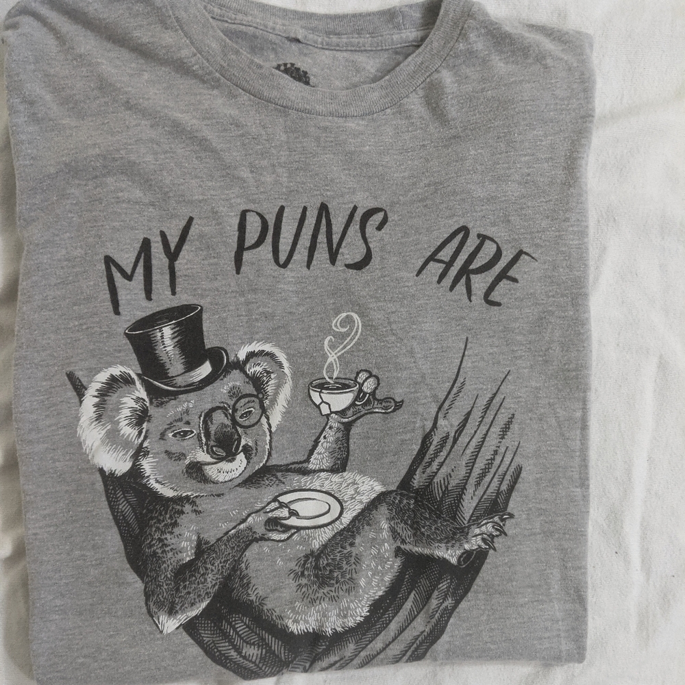 ⭐ Punny T shirt size large gray